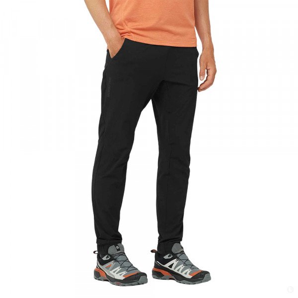 Треккинговые брюки мужские Salomon Wayfarer Ease