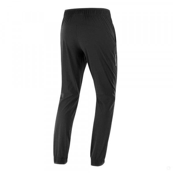 Треккинговые брюки мужские Salomon Wayfarer Ease