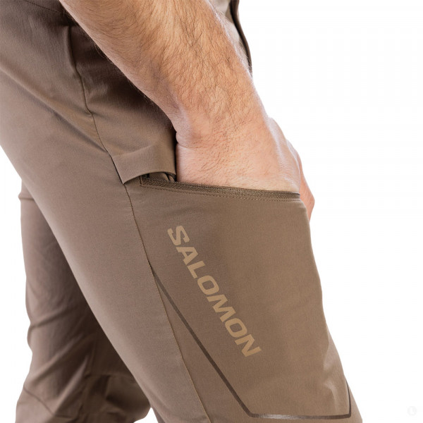 Треккинговые брюки мужские Salomon Wayfarer 