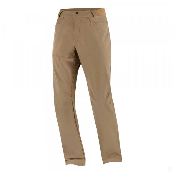 Треккинговые брюки мужские Salomon Wayfarer