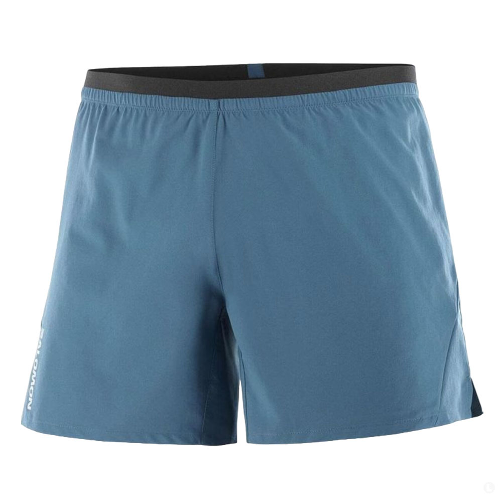 Шорты спортивные мужские Salomon Cross 5