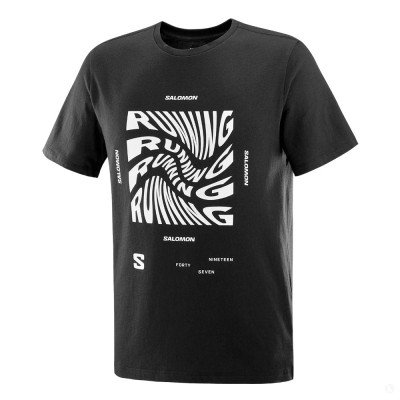 Футболка мужская Salomon Running Graphic Футболка мужская Salomon Running Graphic
