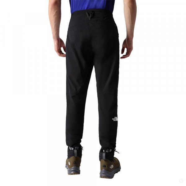 Треккинговые брюки мужские The North Face Speedlight Slim
