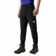 Треккинговые брюки мужские The North Face Speedlight Slim