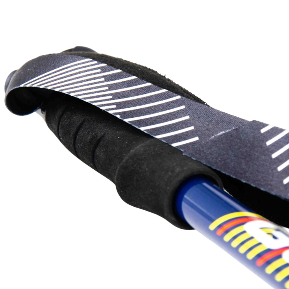 Палки трекинговые Guidetti Altitude Marine