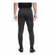 Спортивные брюки мужские Nike ACD TRK MAT NOV серый