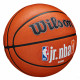 Мяч баскетбольный Wilson NBA JR FAM Logo AUTH outdoor