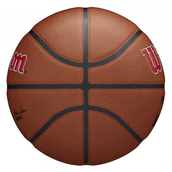 Мяч баскетбольный Wilson NBA Team Alliance Toronto Raptors Мяч баскетбольный Wilson NBA Team Alliance Toronto Raptors