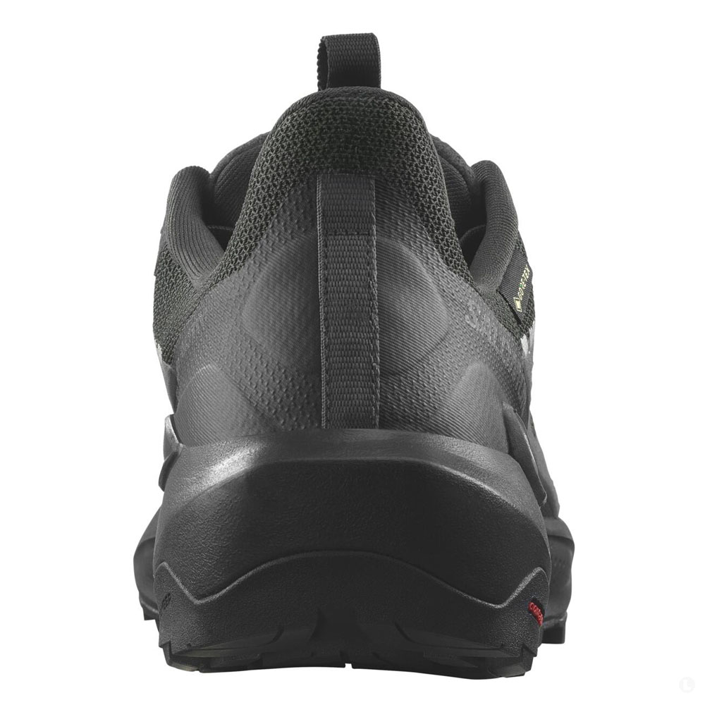 Треккинговые кроссовки мужские Salomon Elixir Activ Gtx