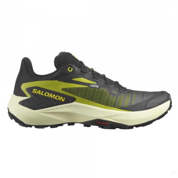 Кроссовки для бега мужские Salomon Genesis