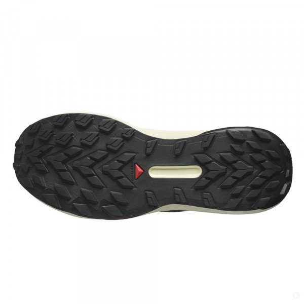 Кроссовки для бега мужские Salomon Genesis