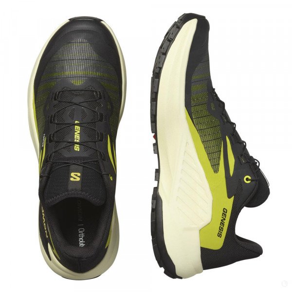 Кроссовки для бега мужские Salomon Genesis