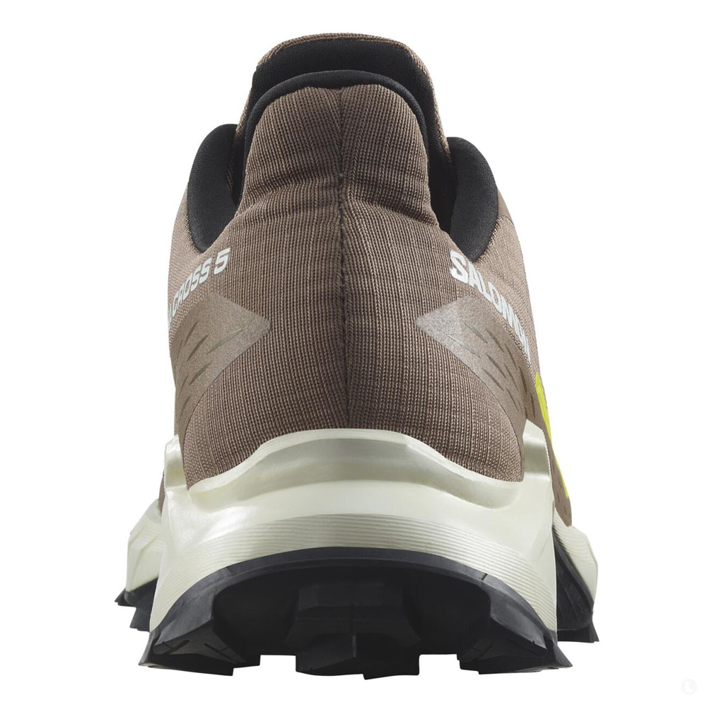 Треккинговые кроссовки мужские Salomon Alphacross 5