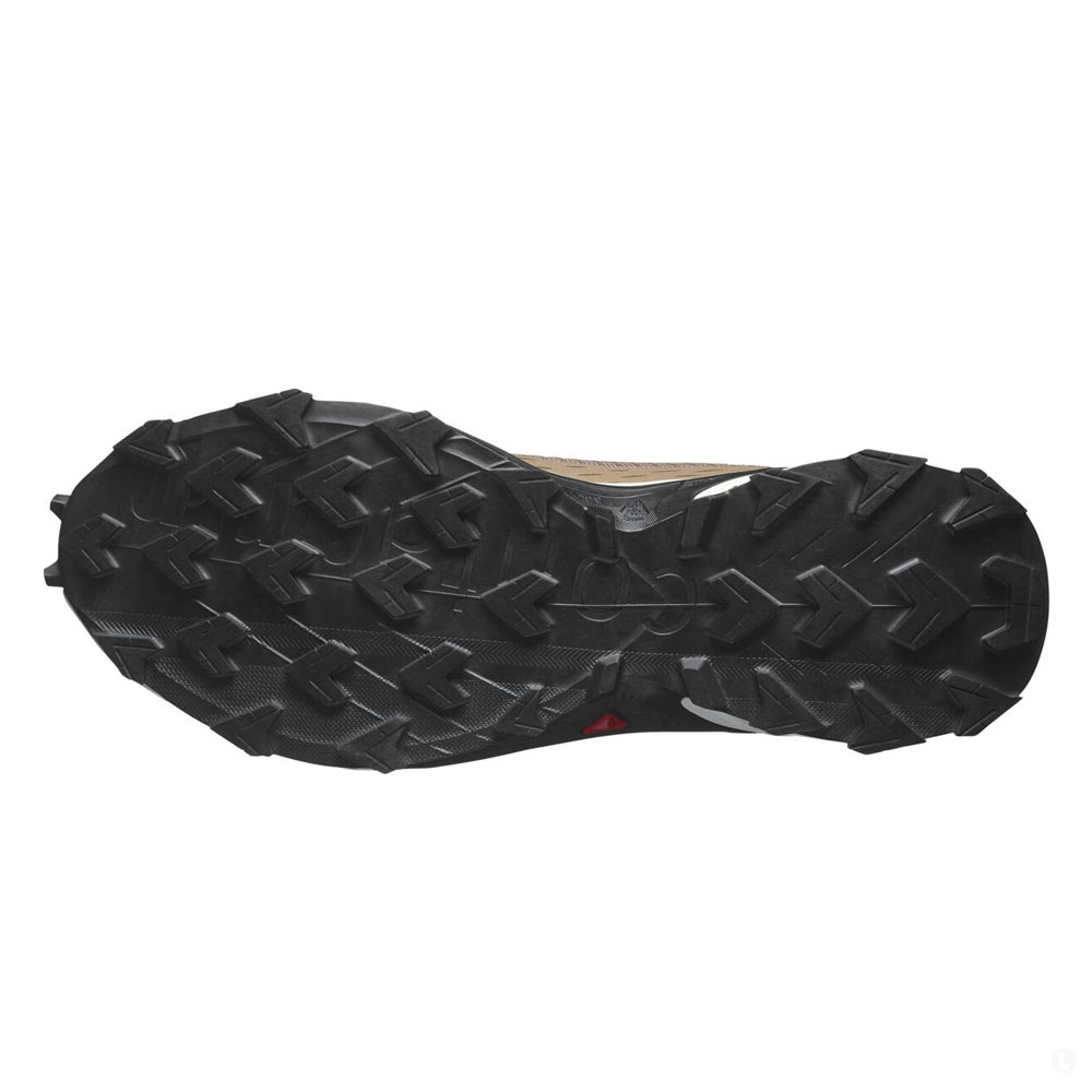 Треккинговые кроссовки мужские Salomon Alphacross 5