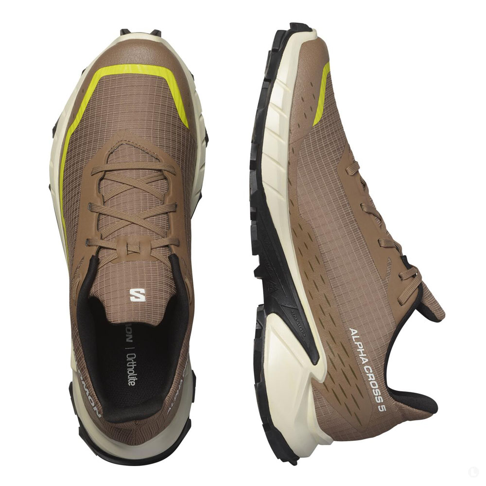 Треккинговые кроссовки мужские Salomon Alphacross 5