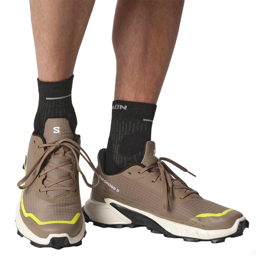Треккинговые кроссовки мужские Salomon Alphacross 5