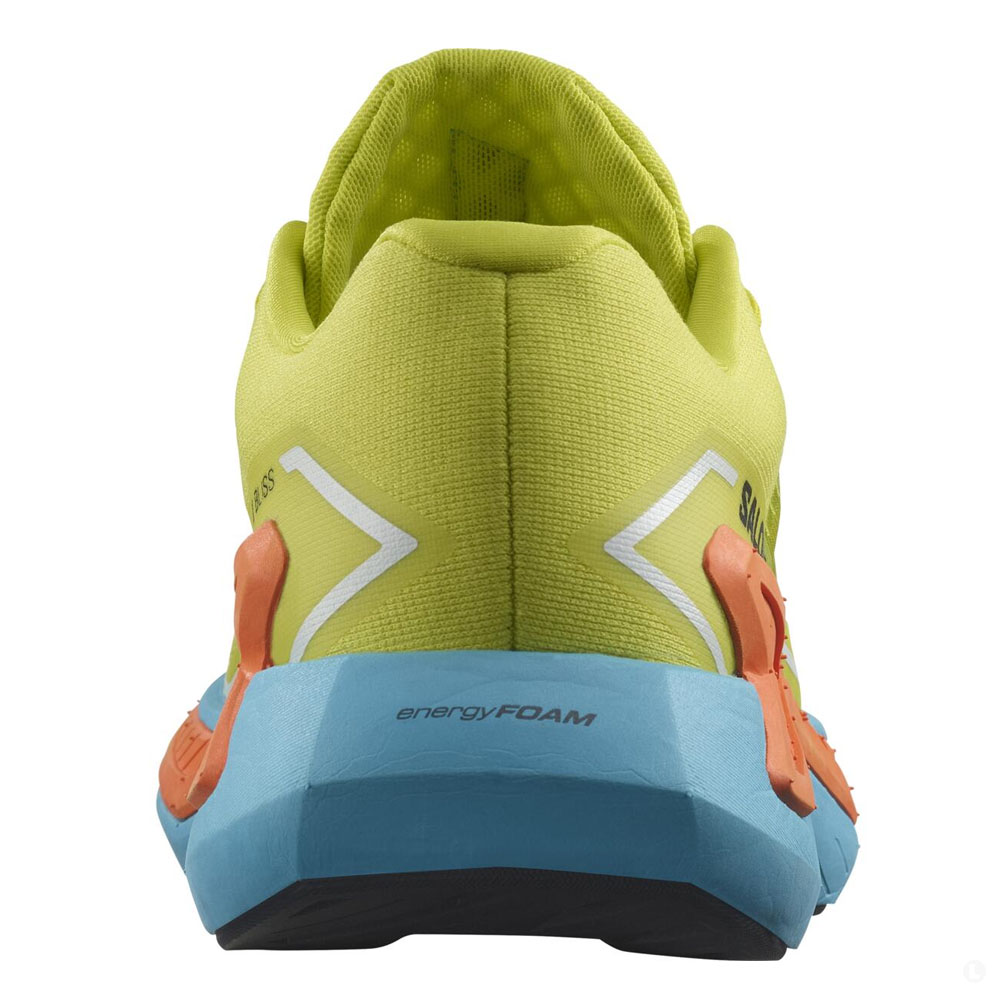 Кроссовки для бега мужские Salomon Drx bliss