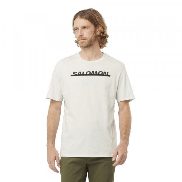 Футболка мужская Salomon Essential logo белый