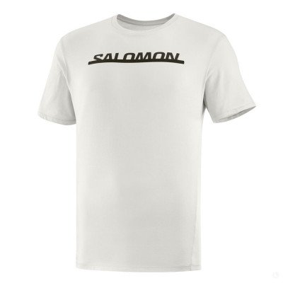Футболка мужская Salomon Essential logo белый Футболка мужская Salomon Essential logo белый