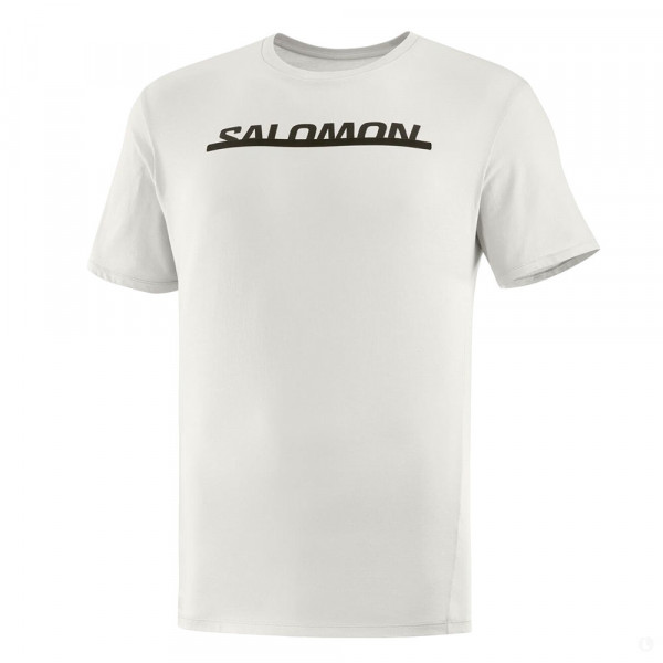 Футболка мужская Salomon Essential logo белый