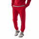 Спортивные брюки мужские 4F Sportstyle красный