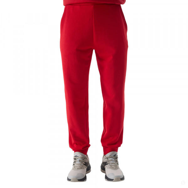 Спортивные брюки мужские 4F Sportstyle красный
