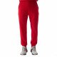 Спортивные брюки мужские 4F Sportstyle красные