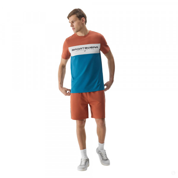 Шорты спортивные мужские 4F Sportstyle коричневые Шорты спортивные мужские 4F Sportstyle коричневые