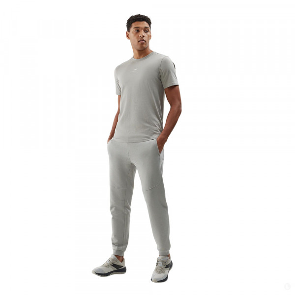 Спортивные брюки мужские 4F Sportstyle серый