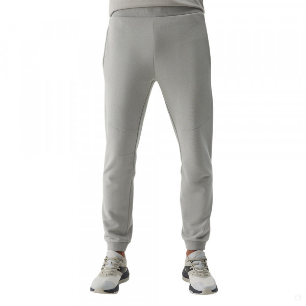 Спортивные брюки мужские 4F Sportstyle серый