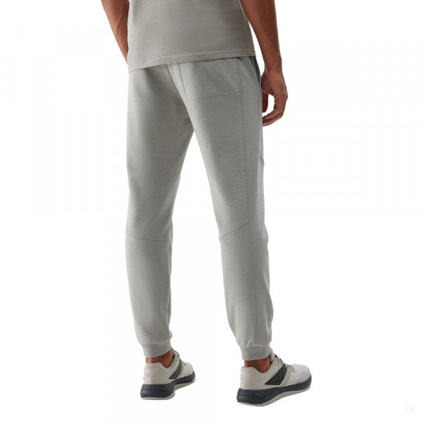 Спортивные брюки мужские 4F Sportstyle серый