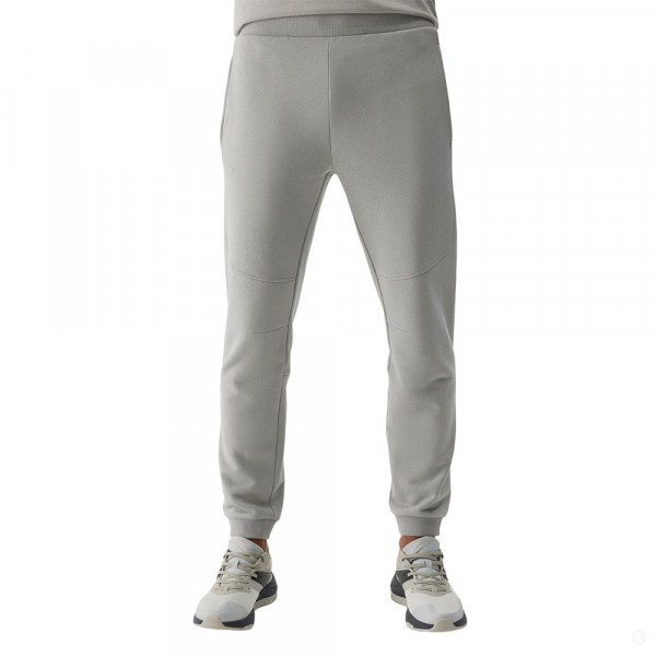 Спортивные брюки мужские 4F Sportstyle серый