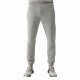 Спортивные брюки мужские 4F Sportstyle серый