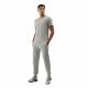 Спортивные брюки мужские 4F Sportstyle серый