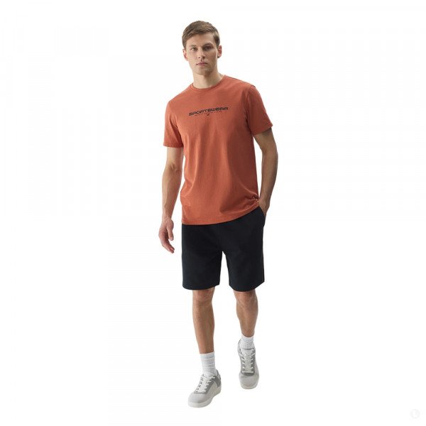 Шорты спортивные мужские 4F Sportstyle черные