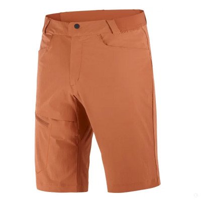 Шорты туристические мужские Salomon Wayfarer Шорты туристические мужские Salomon Wayfarer