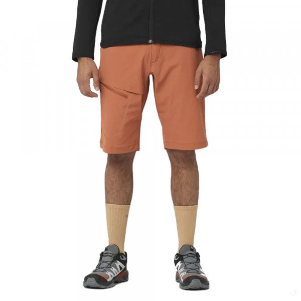 Шорты туристические мужские Salomon Wayfarer