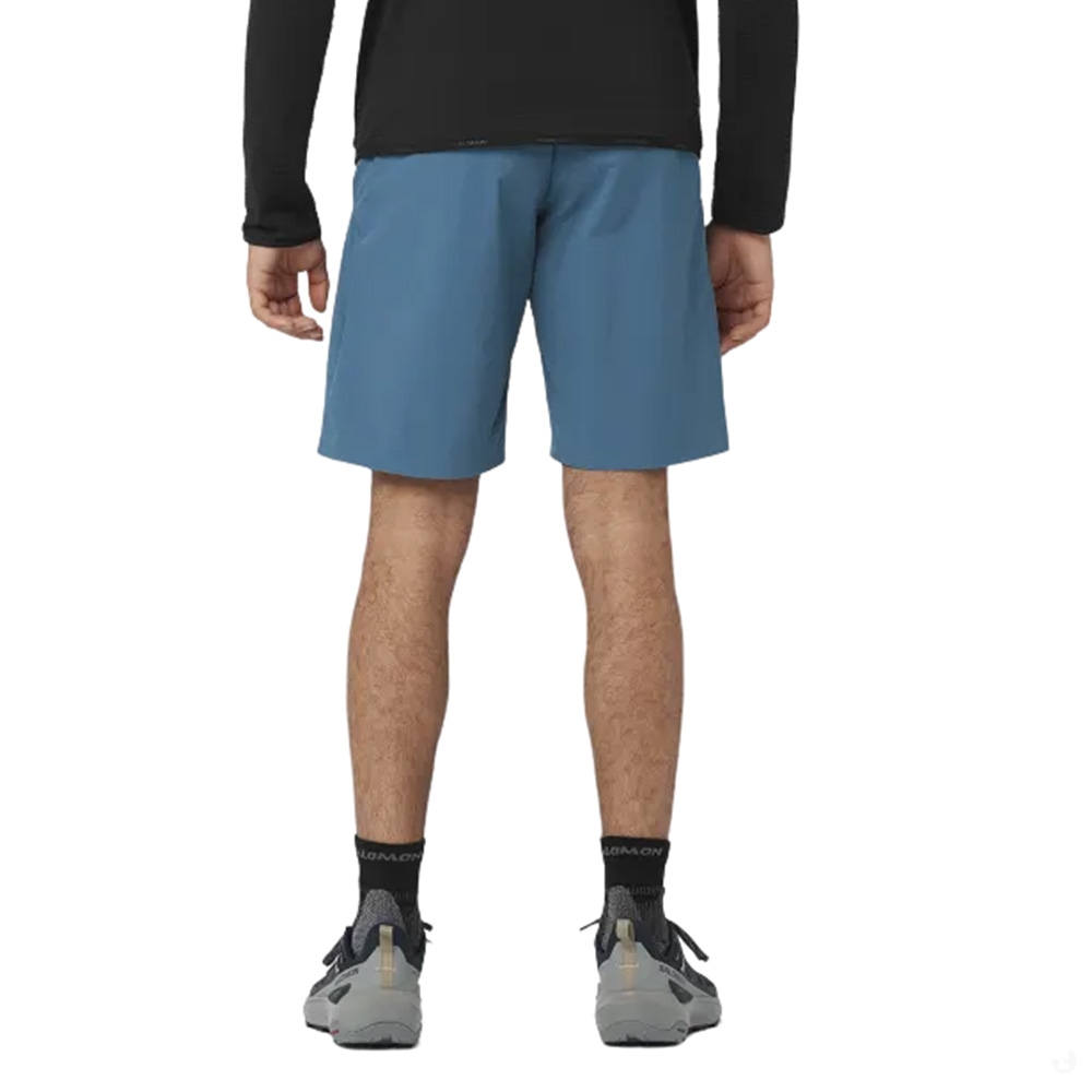 Шорты туристические мужские Salomon Wayfarer Ease Шорты туристические мужские Salomon Wayfarer Ease