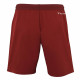 Шорты спортивные мужские Tecnifibre Team Short Шорты спортивные мужские Tecnifibre Team Short