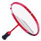 Ракетка для бадминтона Babolat X-Feel Rise str