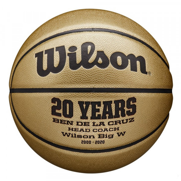 Мяч баскетбольный Wilson Gold Comp