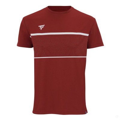 Футболка мужская Tecnifibre Team Tech Tee Футболка мужская Tecnifibre Team Tech Tee