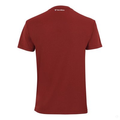 Футболка мужская Tecnifibre Team Tech Tee Футболка мужская Tecnifibre Team Tech Tee