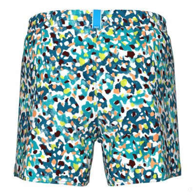 Шорты мужские пляжные Arena Water prints ao Шорты мужские пляжные Arena Water prints ao