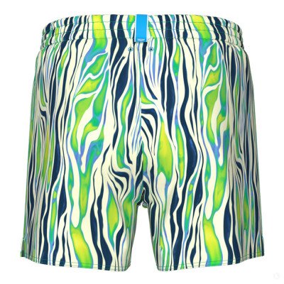Шорты мужские пляжные Arena Water prints ao Шорты мужские пляжные Arena Water prints ao