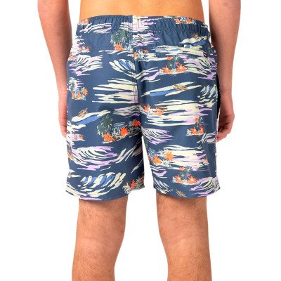 Шорты пляжные мужские Rip Curl Scenic volley Шорты пляжные мужские Rip Curl Scenic volley