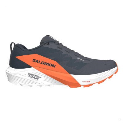 Кроссовки для бега мужские Salomon Sense ride 5 gtx Кроссовки для бега мужские Salomon Sense ride 5 gtx