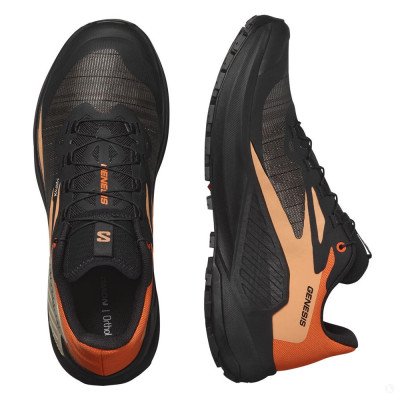 Кроссовки для бега мужские Salomon Genesis Кроссовки для бега мужские Salomon Genesis