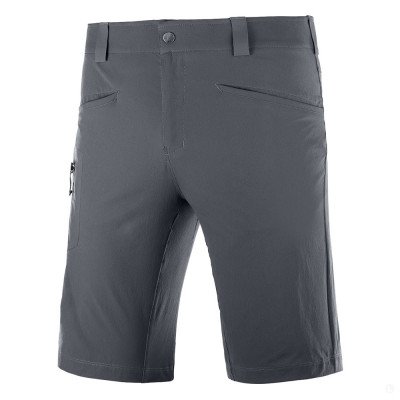 Шорты туристические мужские Salomon Wayfarer Шорты туристические мужские Salomon Wayfarer