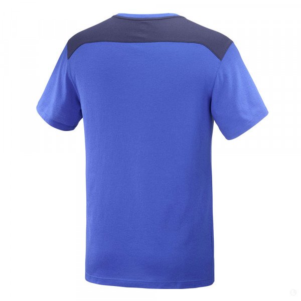 Футболка мужская Salomon Essential colorbloc